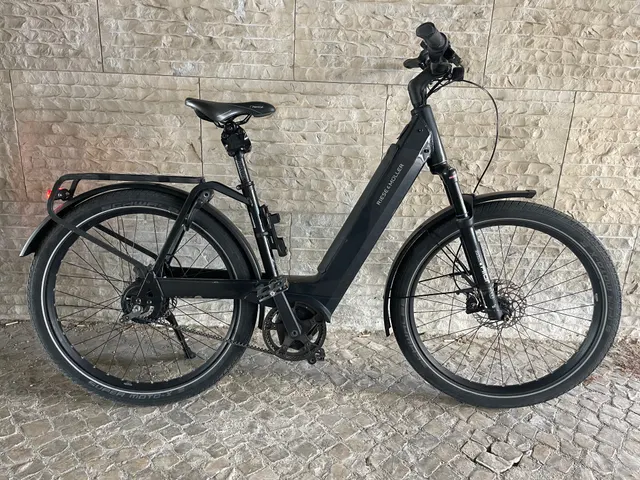 Riese & Müller Nevo GT Vario
