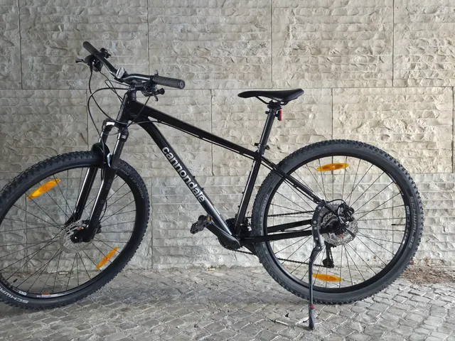 Cannondale Trail 5
